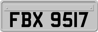 FBX9517