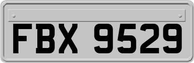 FBX9529