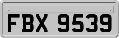 FBX9539