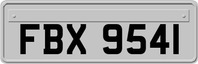 FBX9541