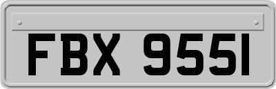 FBX9551
