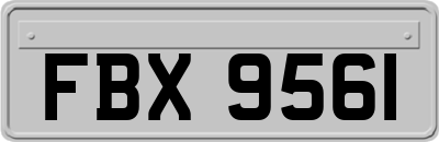 FBX9561