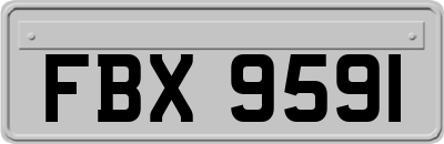 FBX9591