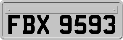 FBX9593