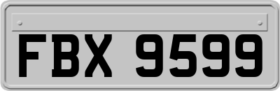 FBX9599