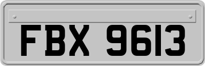 FBX9613