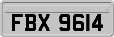 FBX9614