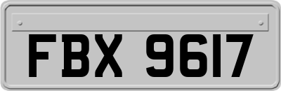 FBX9617
