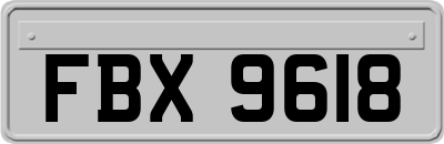 FBX9618