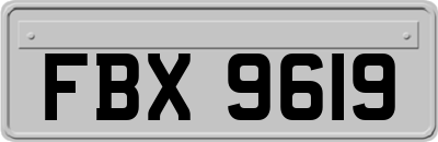 FBX9619