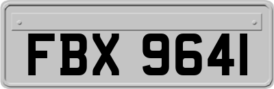 FBX9641
