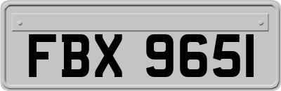 FBX9651