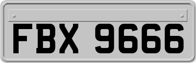 FBX9666