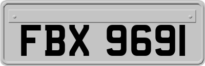 FBX9691