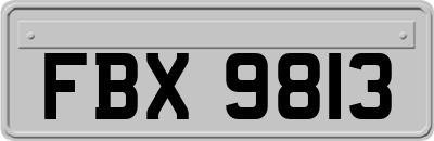 FBX9813