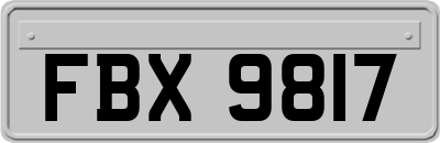 FBX9817
