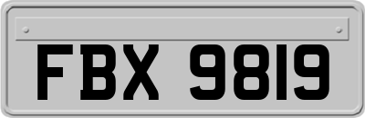 FBX9819