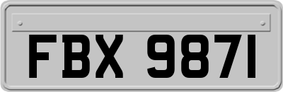 FBX9871