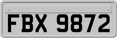 FBX9872