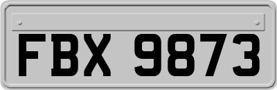 FBX9873