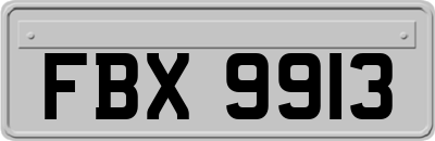 FBX9913