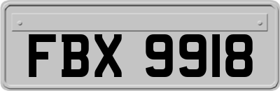 FBX9918