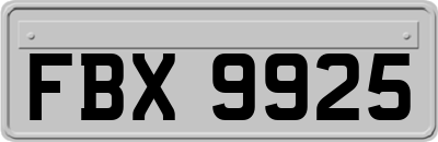 FBX9925
