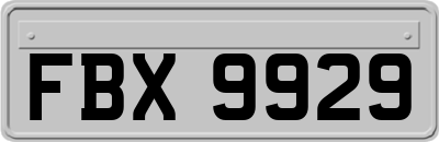 FBX9929