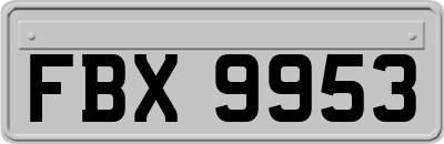 FBX9953