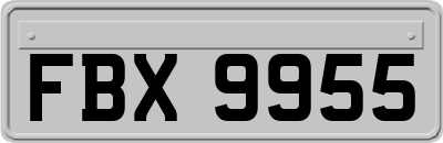 FBX9955