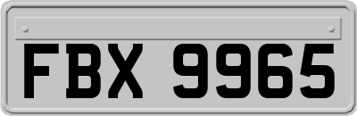 FBX9965