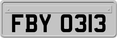 FBY0313
