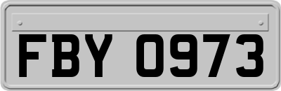 FBY0973