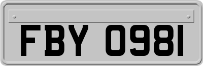 FBY0981