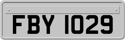 FBY1029