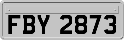 FBY2873