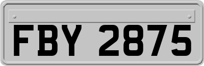 FBY2875