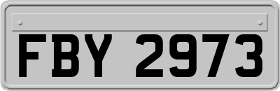 FBY2973