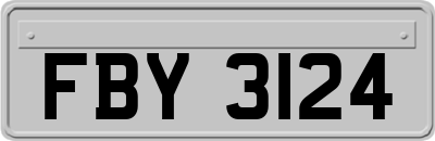 FBY3124