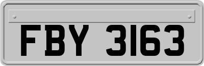 FBY3163