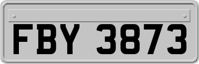 FBY3873