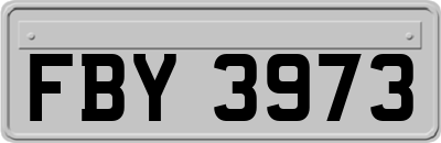 FBY3973