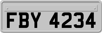 FBY4234