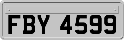 FBY4599