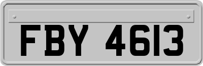 FBY4613