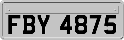 FBY4875