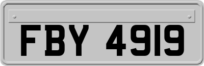 FBY4919