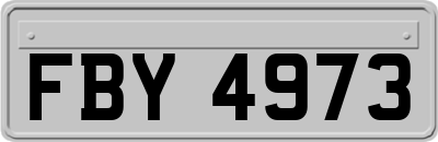 FBY4973