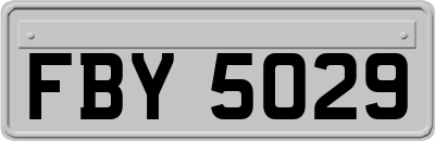 FBY5029