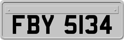 FBY5134